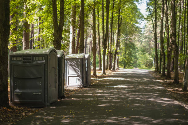 Best Porta potty rental for parties  in Tower Lakes, IL